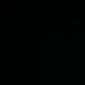 Meet your Posher, Gia